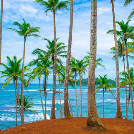 Sustainable-Supply-Chain-Management-in-Tourism