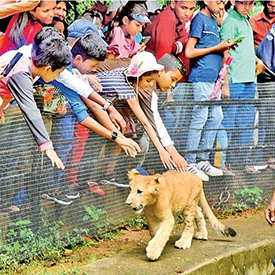 Dehiwala-Zoo